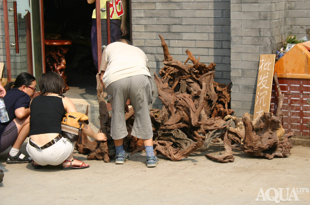 中国流木、古木専門店