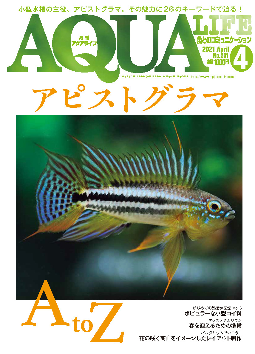 グッピーの軌跡」 追悼 筒井良樹 ［編集］月刊アクアライフ - 趣味 