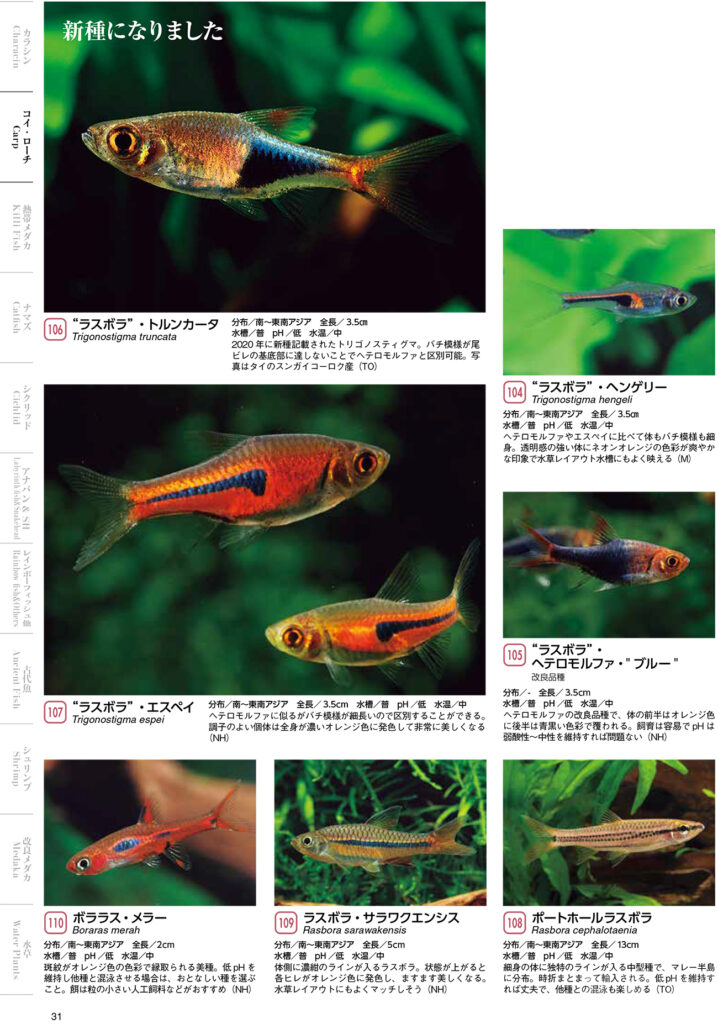 熱帯魚の図鑑の一ページ