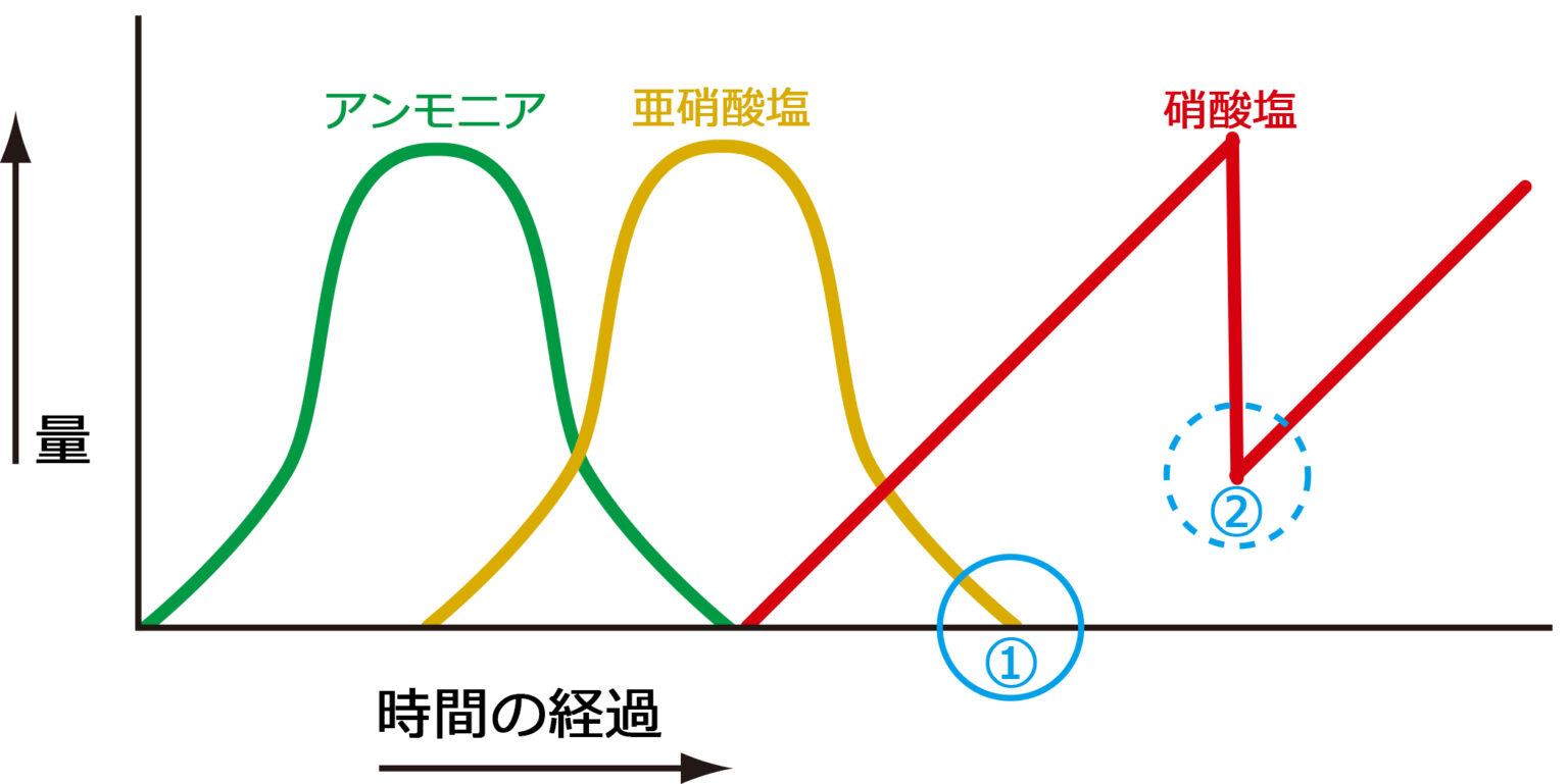 アンモニアってどんな匂いですか？