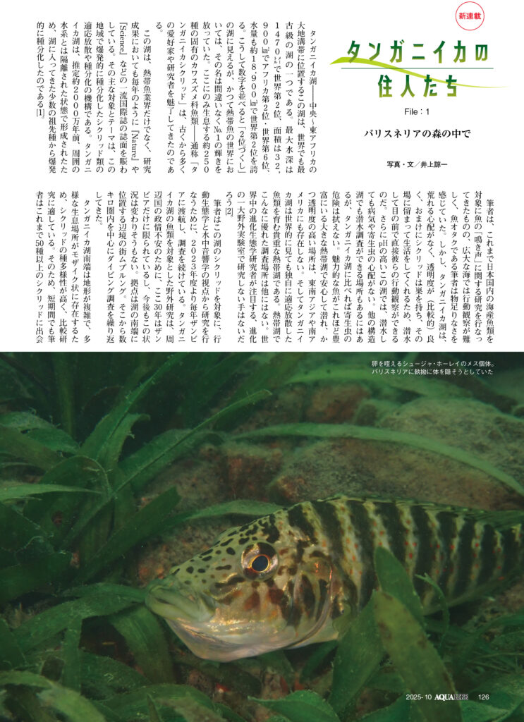 タンガニイカの住人たち