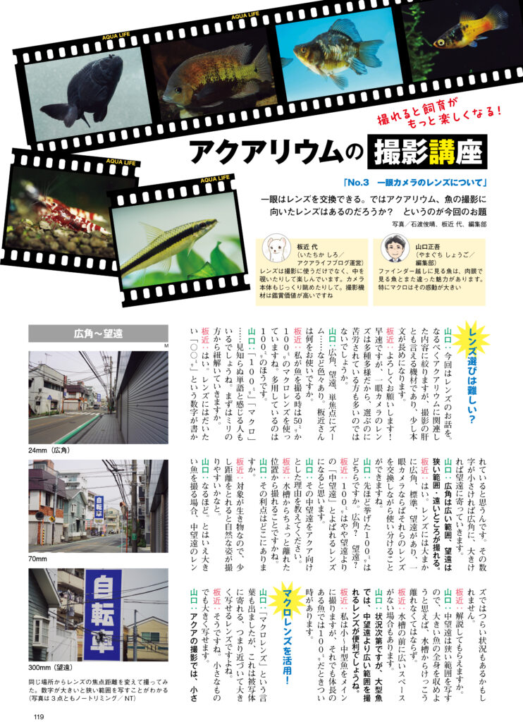 アクアリウムの撮影講座