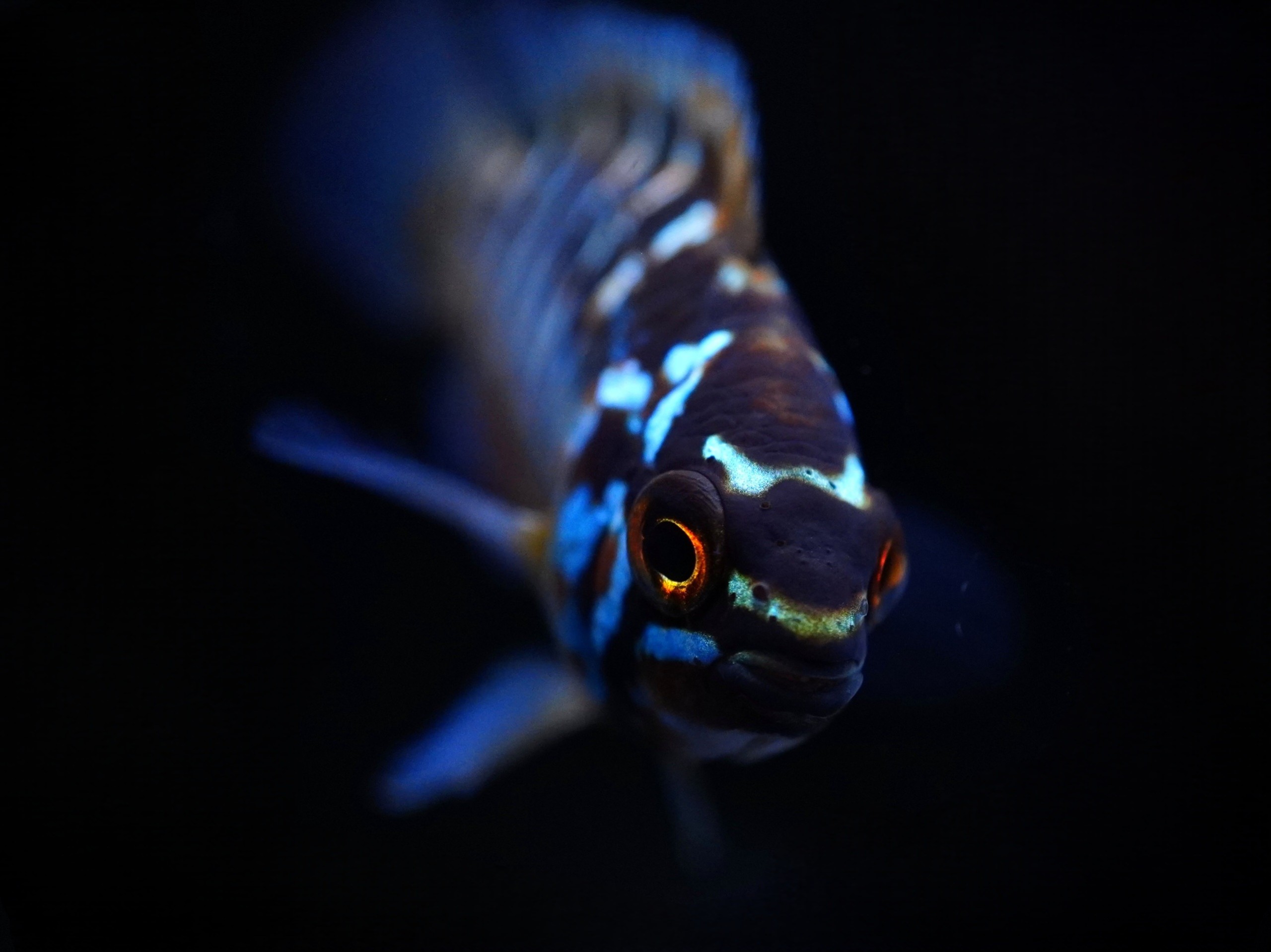 @3Takapisto様投稿作品