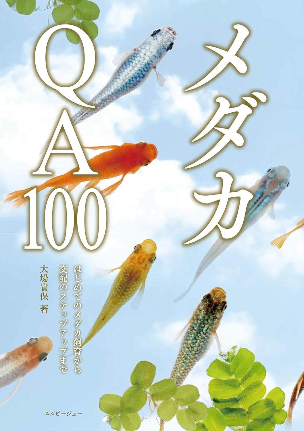 メダカQA100